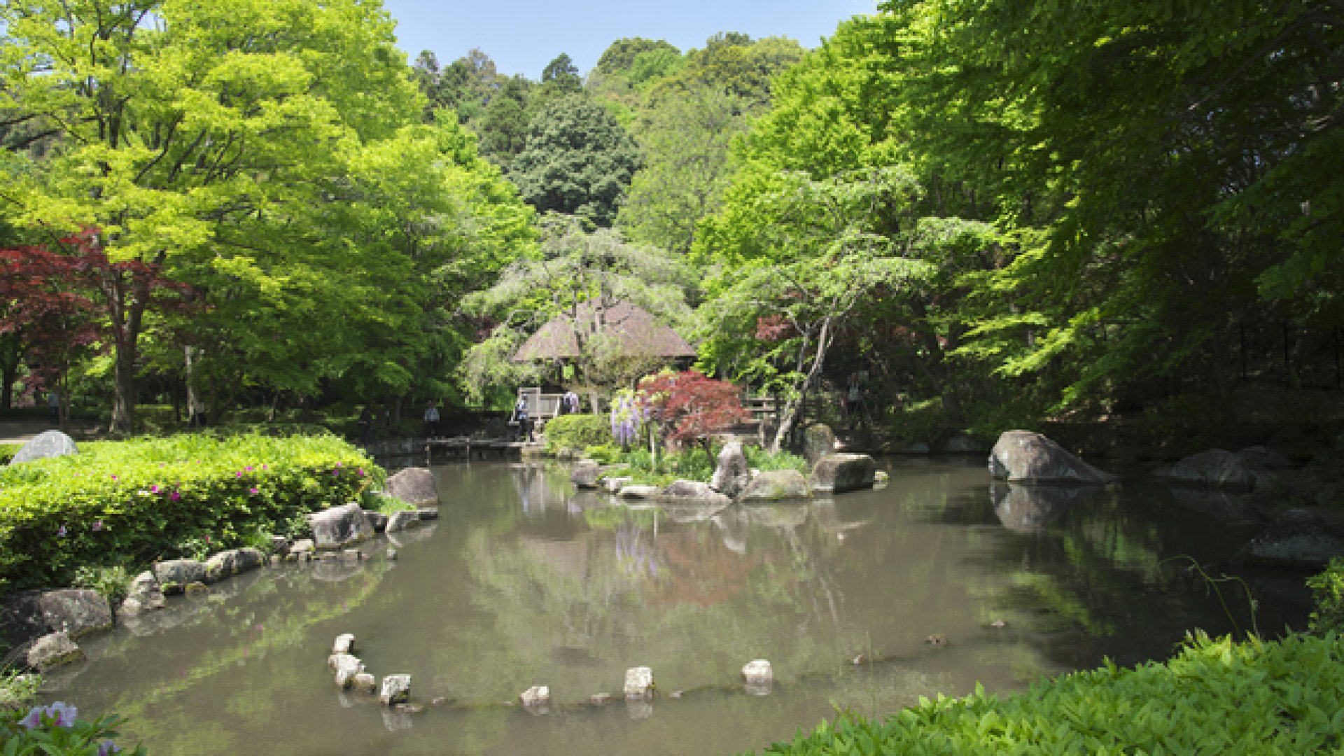 🌳 현립 히가시타카네 삼림공원 (켄리쓰 히가시타카네 신린코엔) 이미지 6